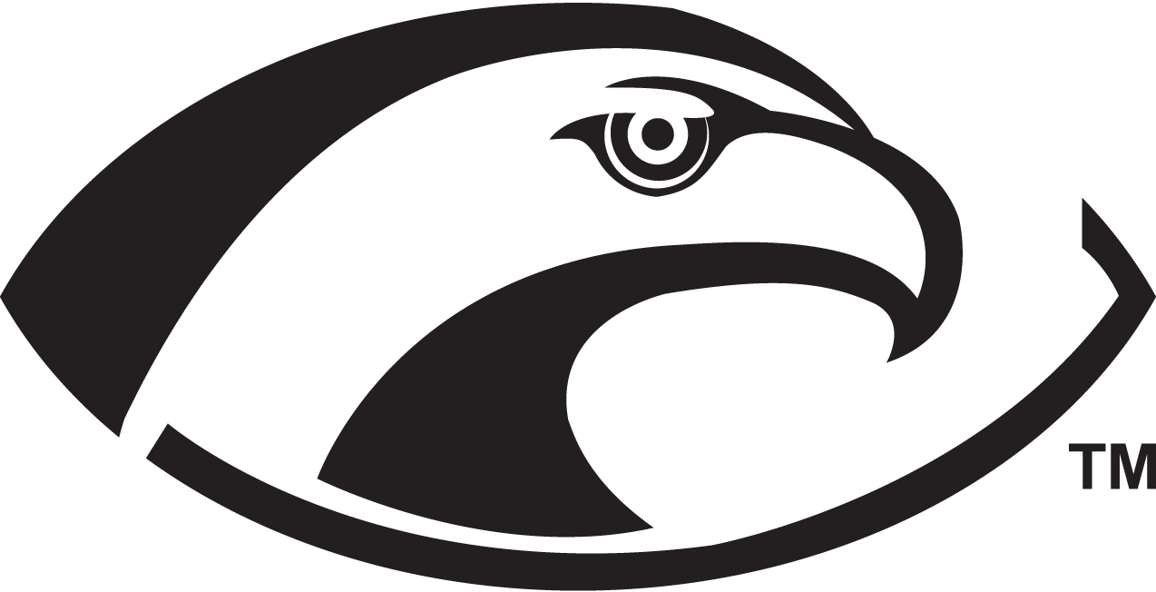 video surveillance via satellite